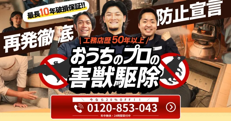 ネズミ・シロアリ・ハクビシン…住まいの害獣トラブル、プロに任せて全国対応 ——おうちのミカタが初回限定キャンペーンを実施中